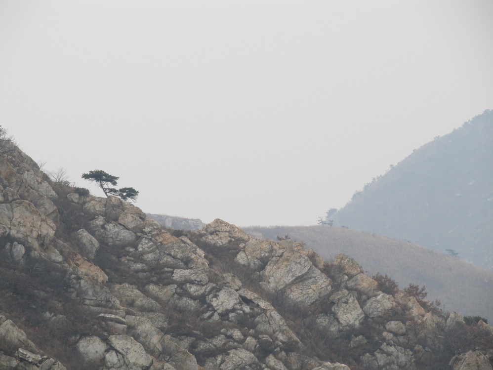 大黑山人口_北票大黑山风景区图片