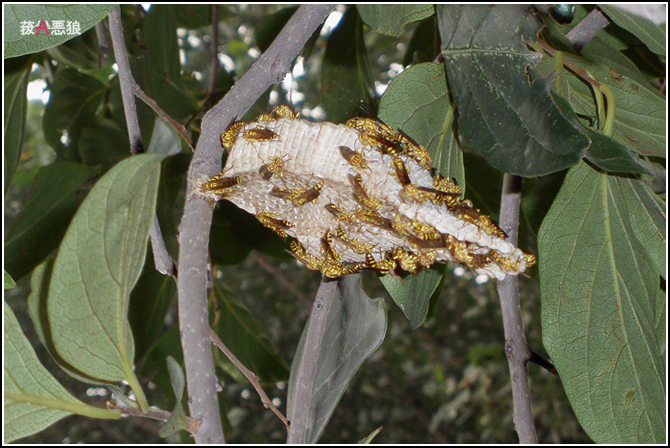 wKgBm03dBRmSrx9pAAXxhJ5hnBk89.jpeg?imageView2%2F2%2Fw%2F600%2Fq%2F90%7CimageMogr2%2Fstrip%2Fquality%2F90