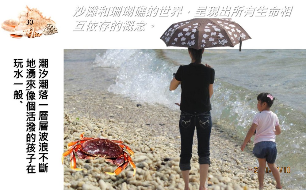 海鸥彩云飞简谱_海鸥飞处彩云飞