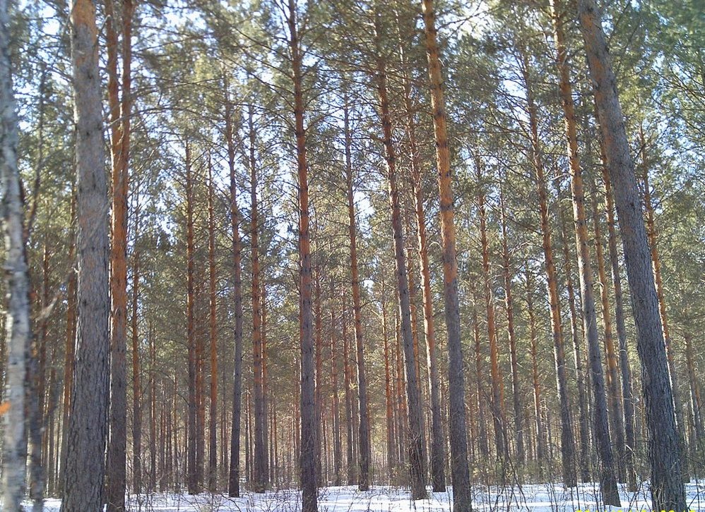 wKgBm07DtiqzZ4dLAAWZ2txplcY18.jpeg?imageView2%2F2%2Fw%2F600%2Fq%2F90%7CimageMogr2%2Fstrip%2Fquality%2F90