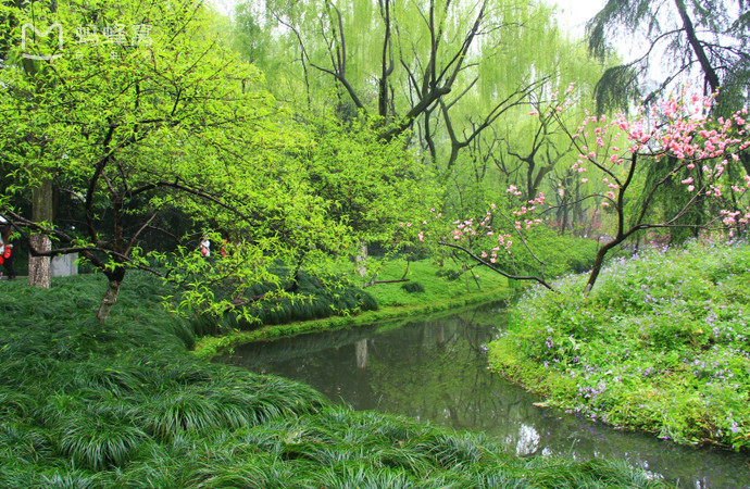 1668蜂评 183游记提及 西湖 查看景点详情,1485张图片 8 柳浪闻莺