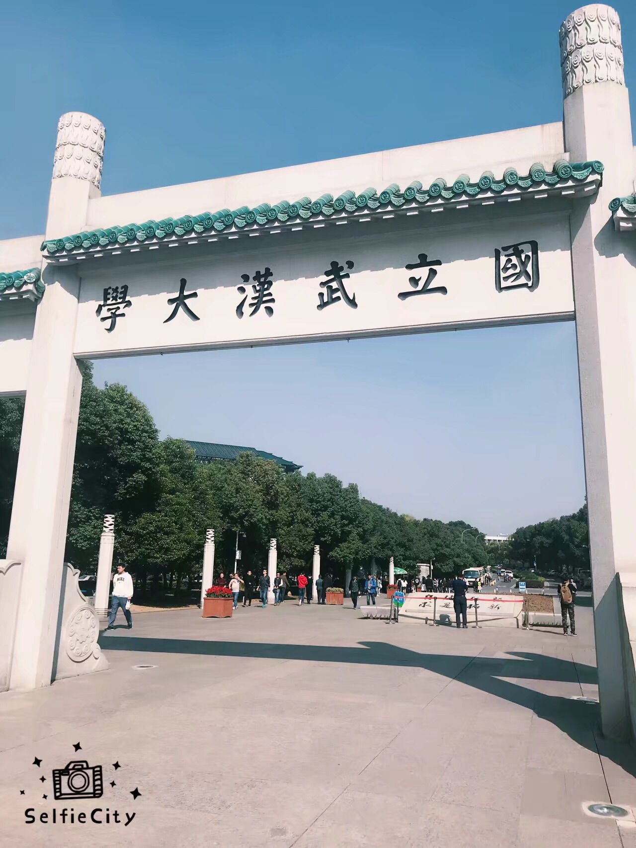 武汉漫入人口_武汉人口增长图(3)