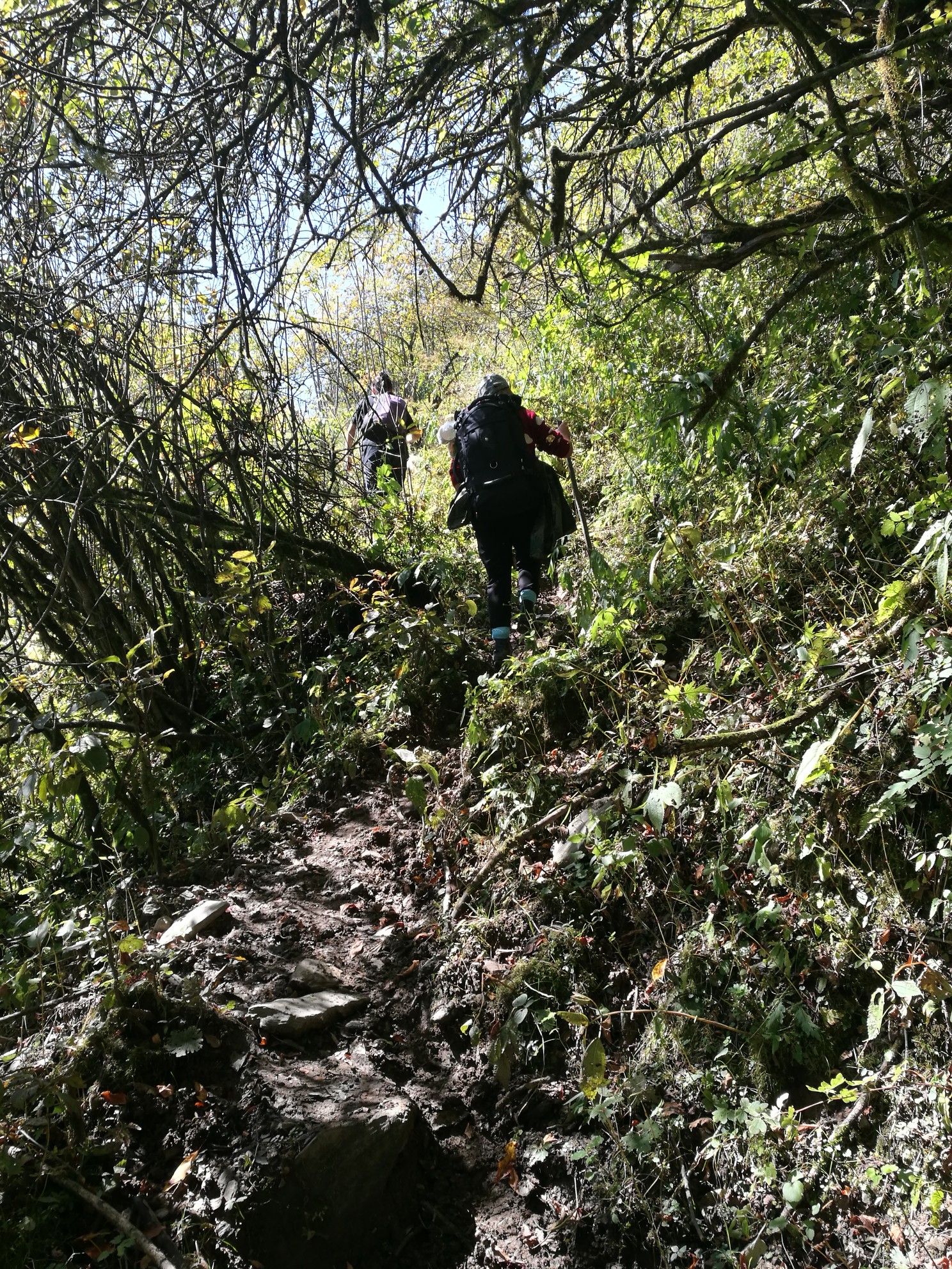 回复游记:绵阳平武泗耳藏族乡圆草塘云海追逐之路