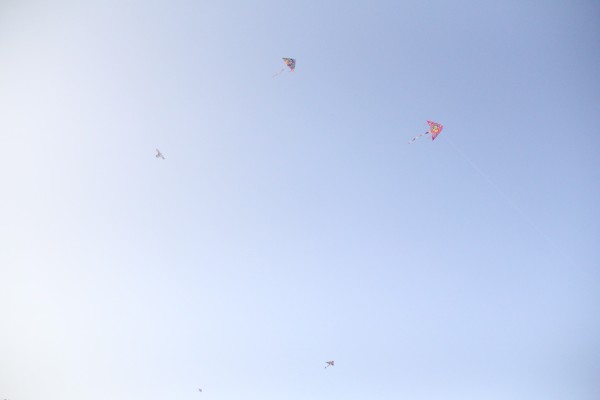 无忧的风筝 wKgBZ1oxO7eAYlPTAANL4tMQzW802.jpeg?imageView2%2F2%2Fw%2F600%2Fh%2F600%2Fq%2F90
