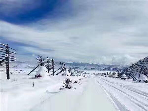 08:00--12:00 早餐后前往石卡雪山,体验雪山圣洁之美.