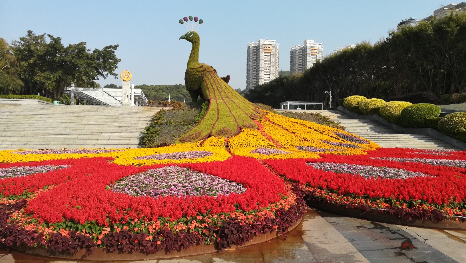 带老爸游深圳园博园