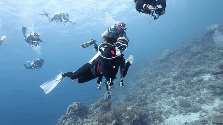 何不来一场1999年那样的旅行——弹丸礁潜水记