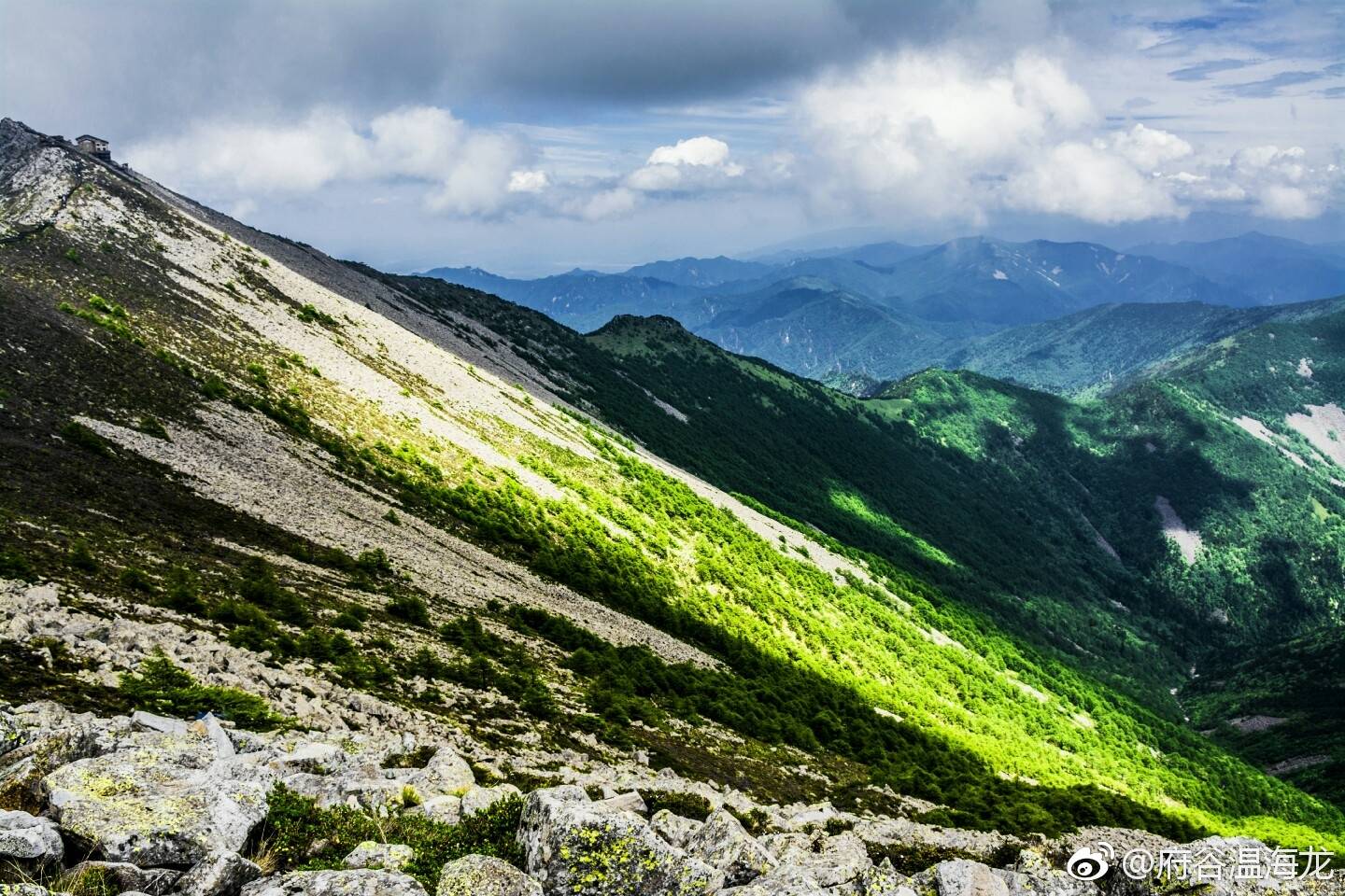 两个气候带,可观赏太白山冷 杉,落叶松,高山灌丛草甸三个植物景观林带