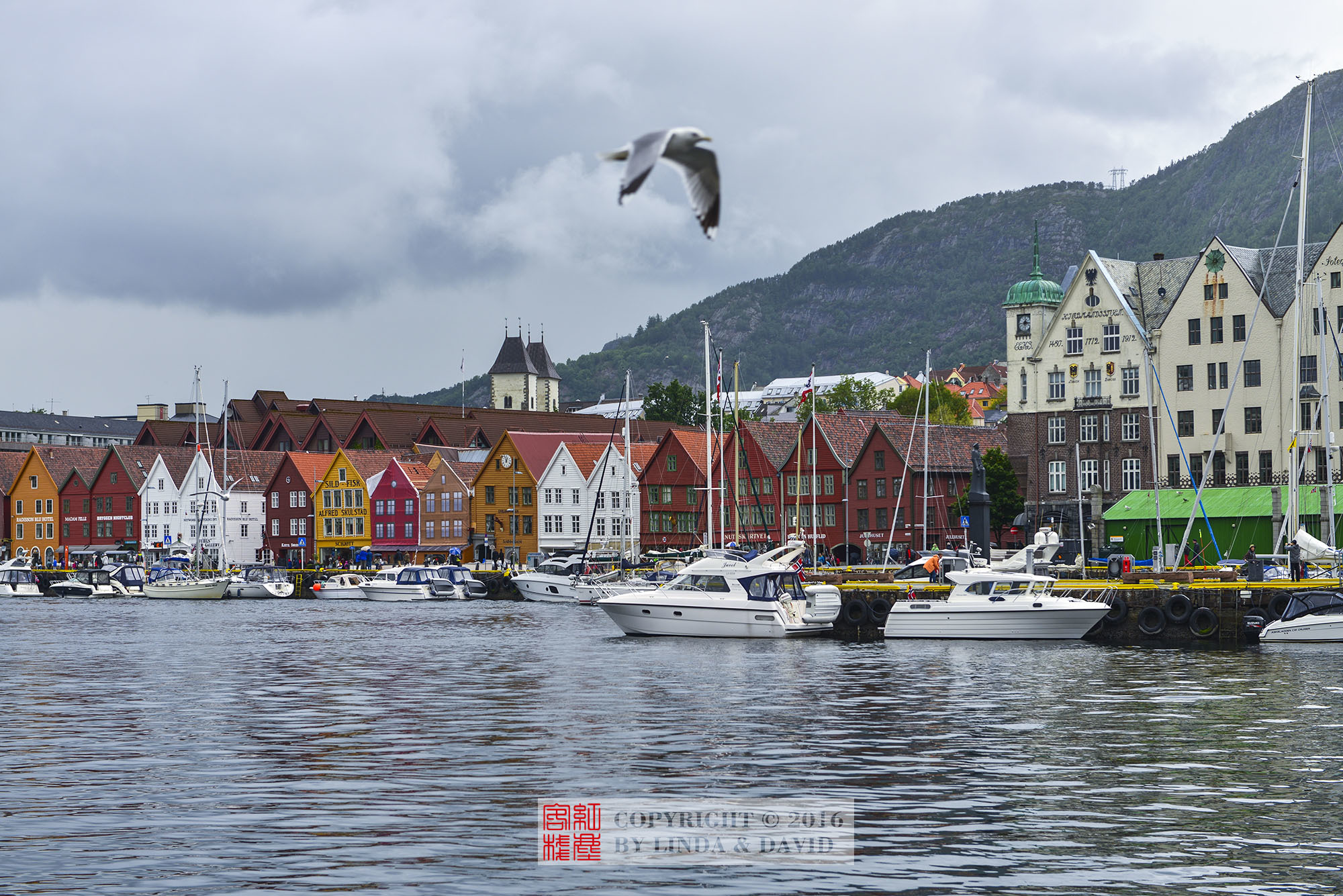 挪威最美城市!你眼中的卑尔根有多美?