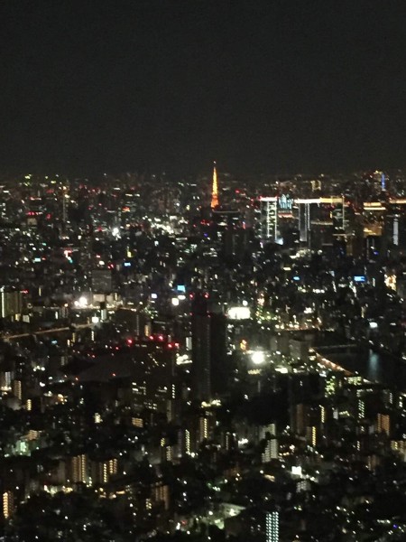 东京夜晚风景图_风景520 东京夜晚风景图