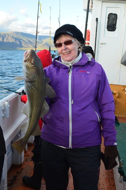 冰岛3小时海钓旅行团 大西洋钓鱼 + 船上烧烤(