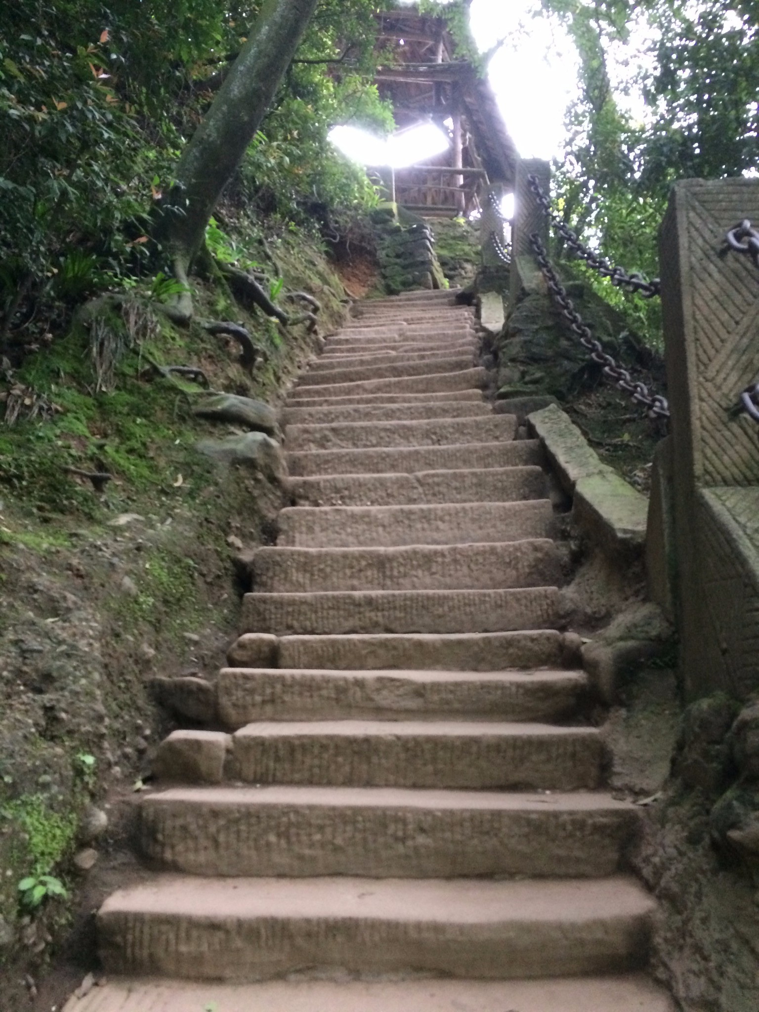 突然想起的一个人旅行-成都青城山两日游