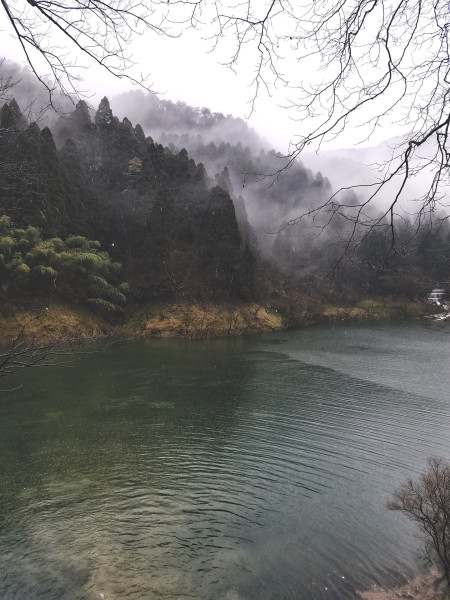 庐山的介绍300字 wKgBZ1jju9OAdB7pAA6CQugvpKI01.jpeg?imageView2%2F2%2Fw%2F600%2Fh%2F600%2Fq%2F90