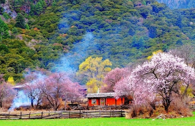 拉萨在哪坐车去林芝，从拉萨怎么去林芝，拉萨到林芝怎么坐车