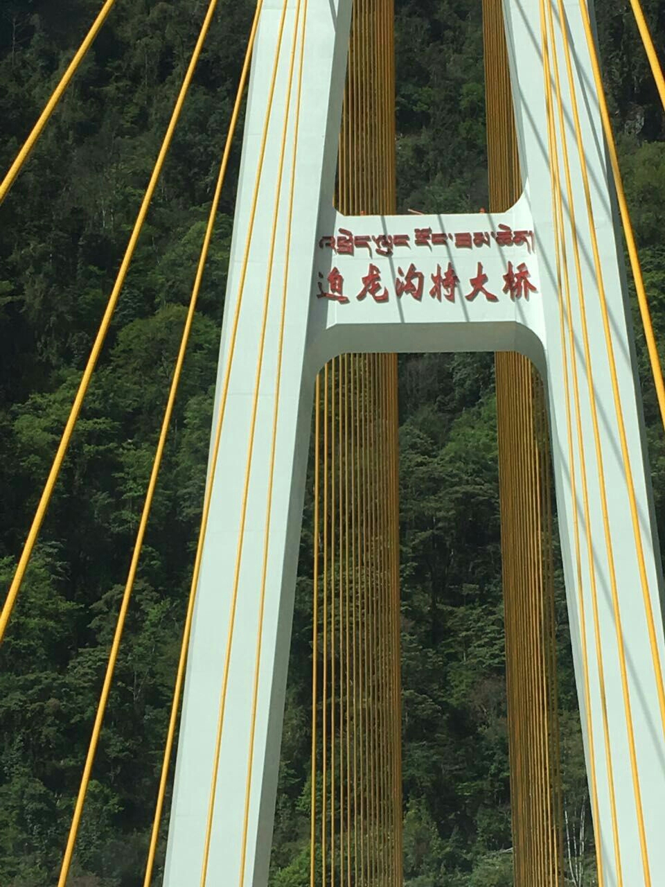 林芝市有多少人口_林芝市地图(2)
