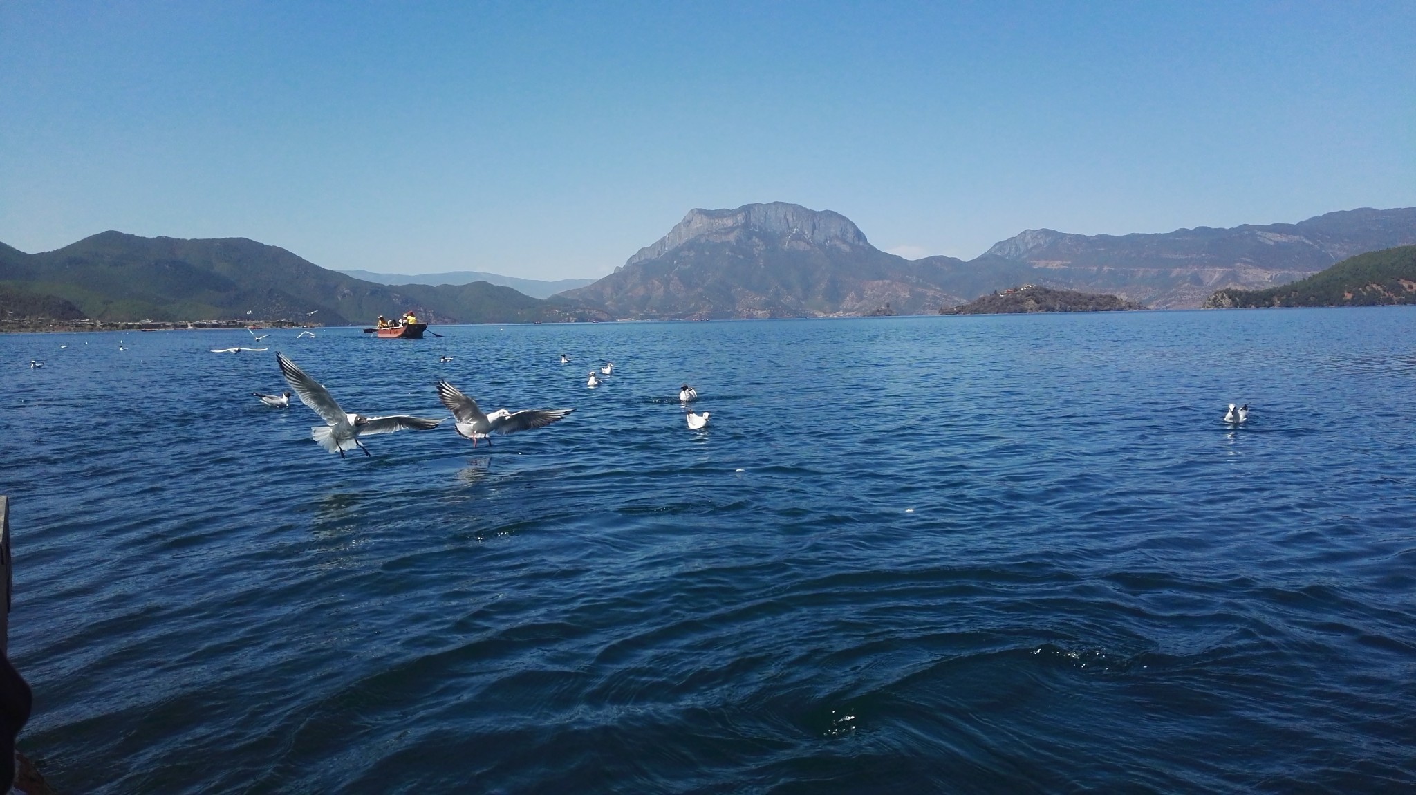 wKgBZ1jl2DmAN4vlAAd7ws2YjdU43.jpeg?imageView2%2F2%2Fw%2F600%2Fh%2F600%2Fq%2F90