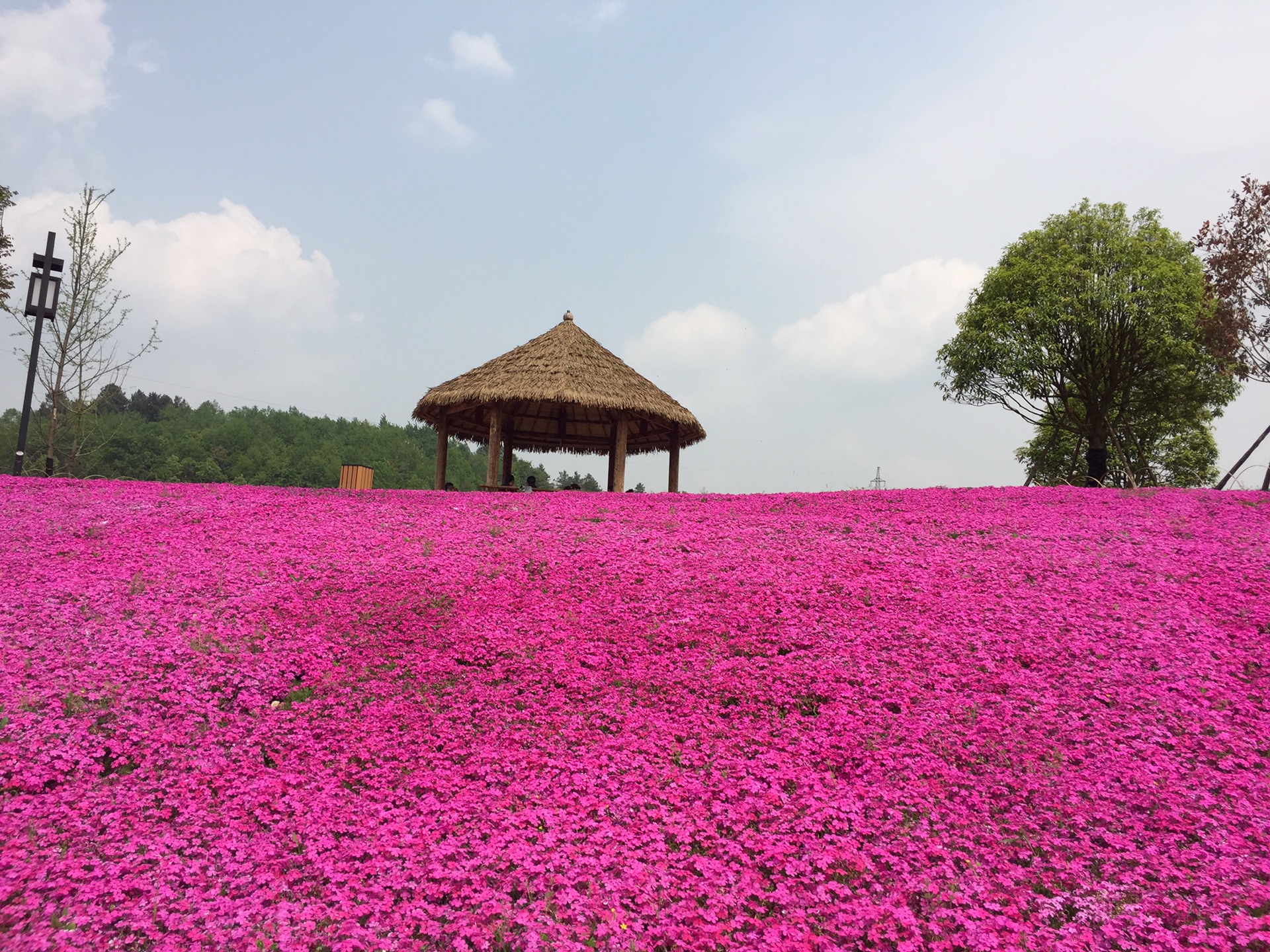 诗画田园,美丽旧州