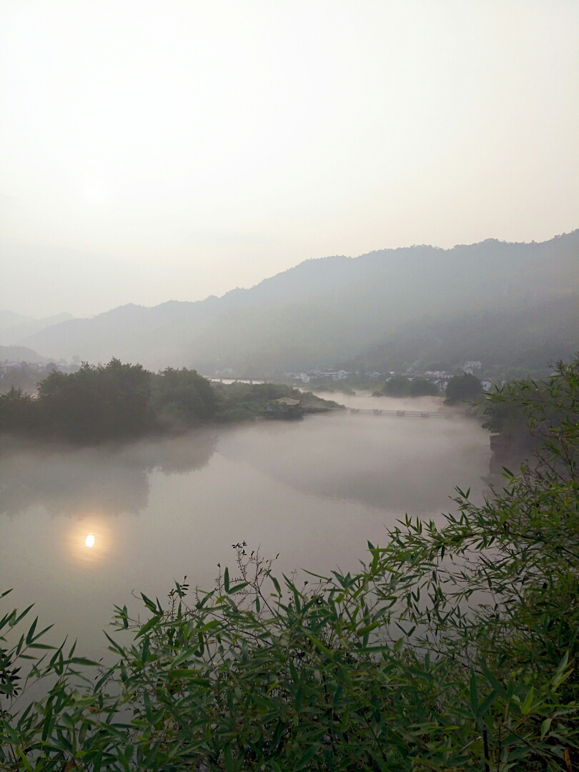 桃花潭水深千尺打一成语是什么_桃花潭水深千尺图片