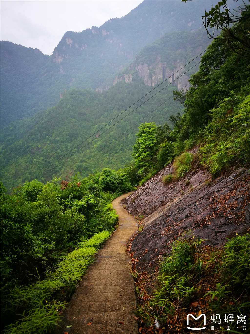 永嘉上塘镇箬岙村有多少人口_永嘉芙蓉古村图片