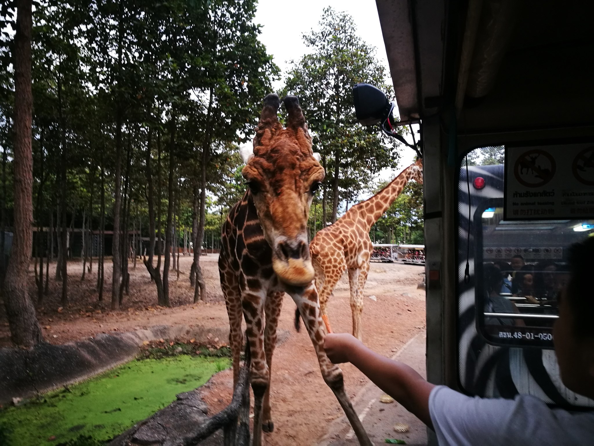 泰国清迈 跟团游6日4晚 实惠不累很好玩
