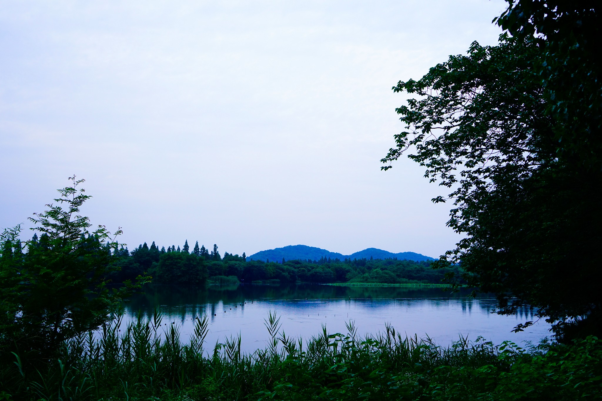 茅家埠景区         