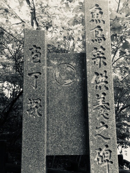 戊戌年是哪年 wKgBZ1uDsROAcRbnAA_KRvqM8IQ82.jpeg?imageView2%2F2%2Fw%2F600%2Fh%2F600%2Fq%2F90