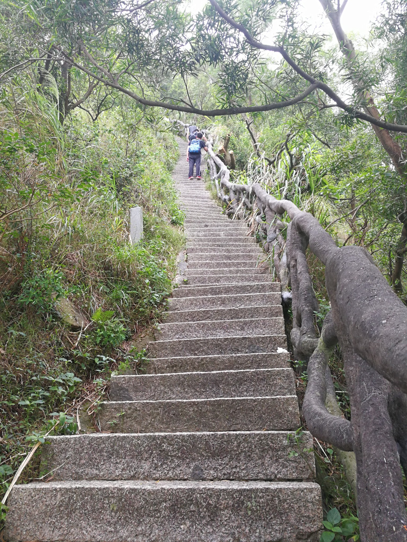 徒步深圳梧桐山海拔947m,深圳自助游攻略 - 马蜂窝