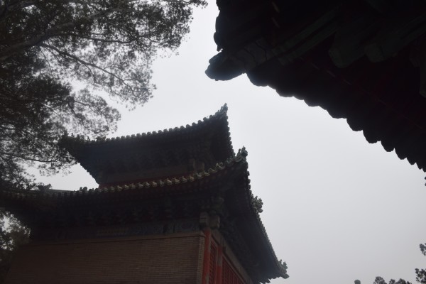 半天北京游玩攻略,北京半天游玩攻略