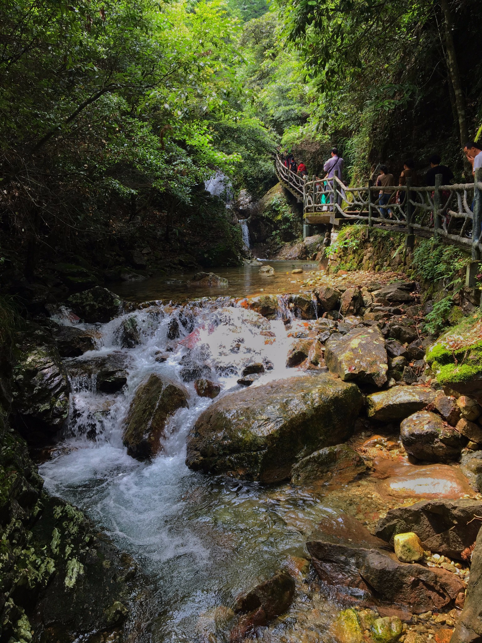 【松阳.丽水】雨天探访箬寮原始森林和象溪古村