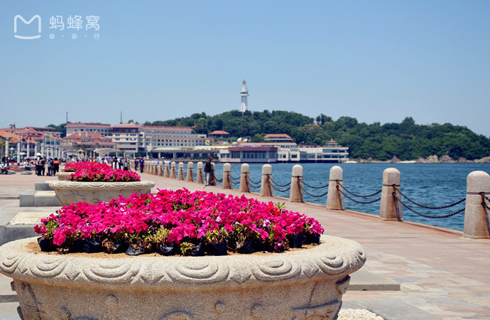 海洋馆看鲸鲨——烟台海昌鲸鲨海洋公园