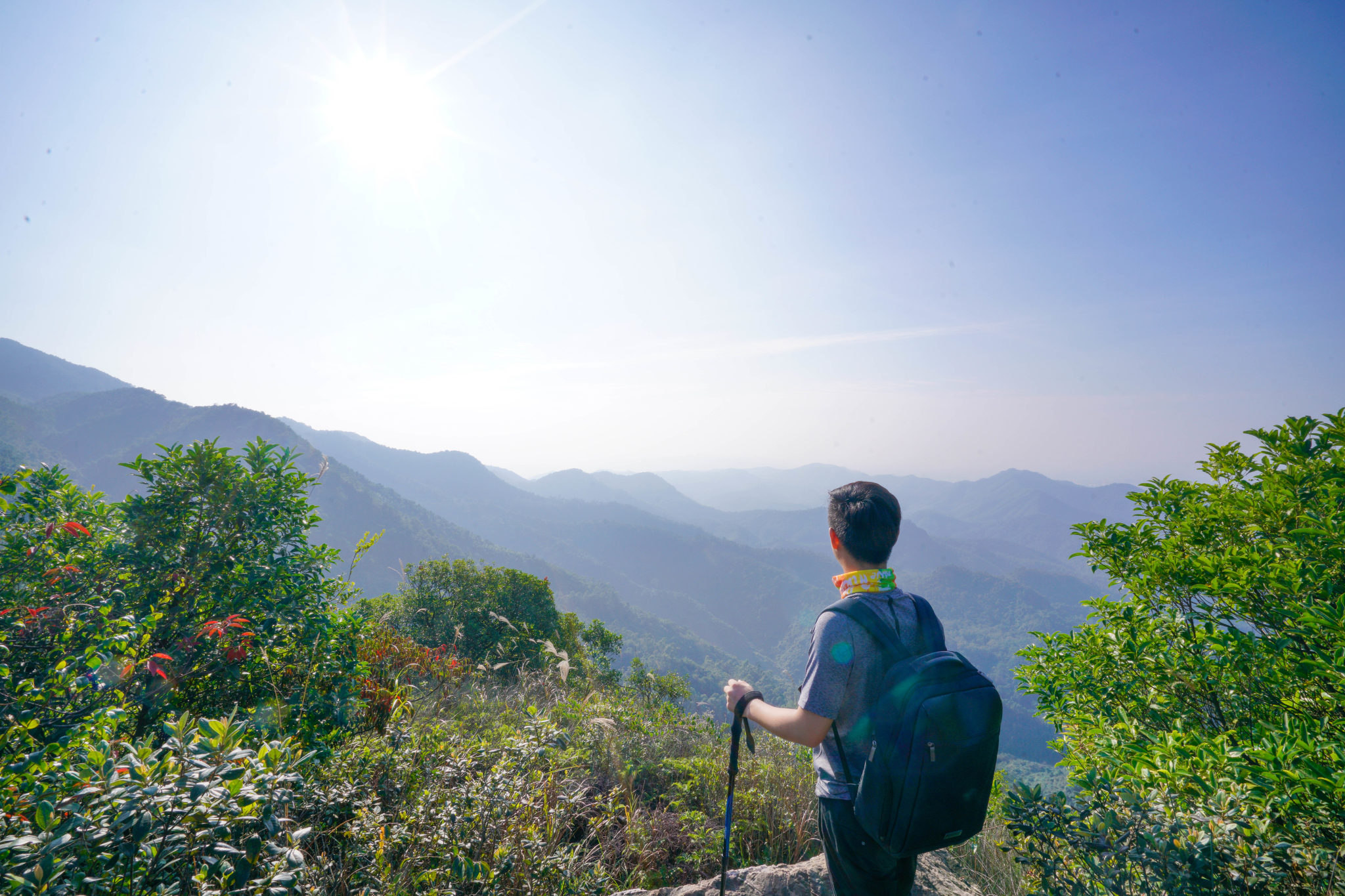 佛山高明茶山,只为拍照不为鸡之旅