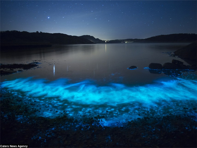 全称bioluminescent bay,顾名思义是"生物发光"的海湾,传说中的荧光湖