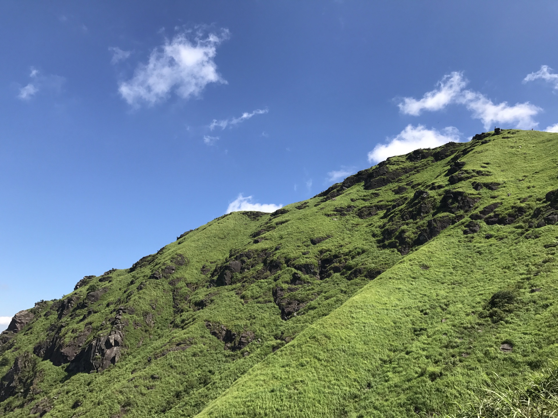 萍乡市有多少人口_千万别来萍乡旅游(3)