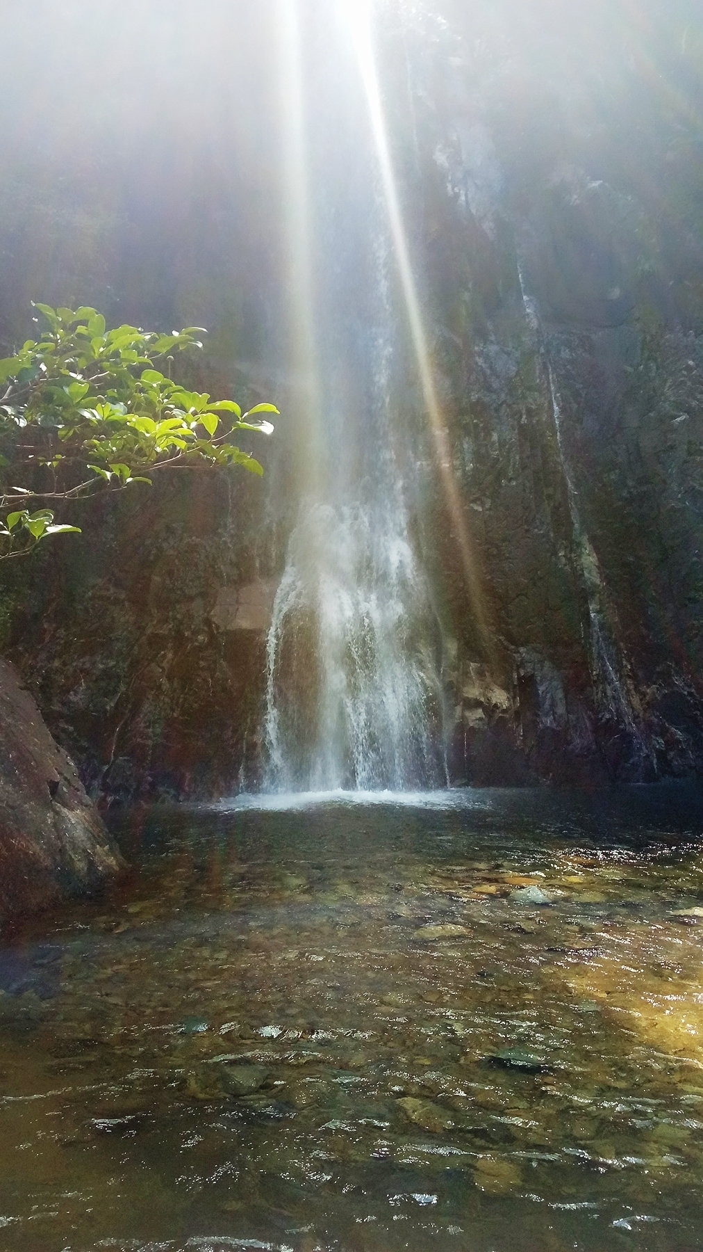 茶山经济总量_茶山竹海(2)