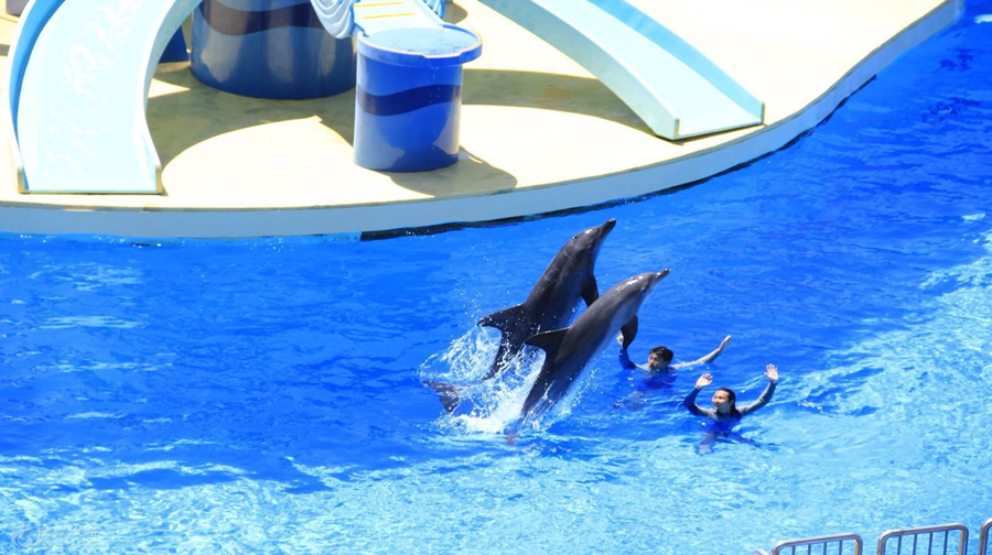 wKgBZ1jeHRyAagKZAAVMl2O8-vg16.jpeg?imageMogr2%2Fthumbnail%2F%21440x260r%2Fgravity%2FCenter%2Fcrop%2F%21440x260%2Fquality%2F100