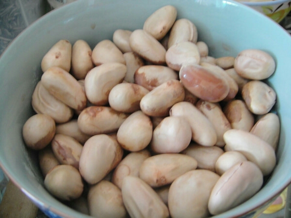wKgBZ1ij_aWAdrv9AAKcDny1rw848.jpeg?imageView2%2F2%2Fw%2F600%2Fh%2F600%2Fq%2F90