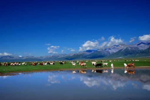 赛里木湖位于博乐市哪个镇 wKgBZ1joe2mAD5XVAAEFaV3Mobw23.jpeg?imageView2%2F2%2Fw%2F510%2Fh%2F8000%2Fq%2F100