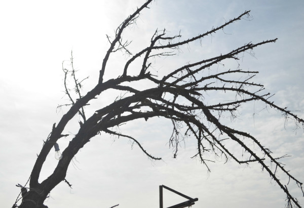 春风不度玉门关是谁写的诗词 wKgBZ1klPm-AcY8-AAbtjwAPmiQ40.jpeg?imageView2%2F2%2Fw%2F600%2Fh%2F600%2Fq%2F90