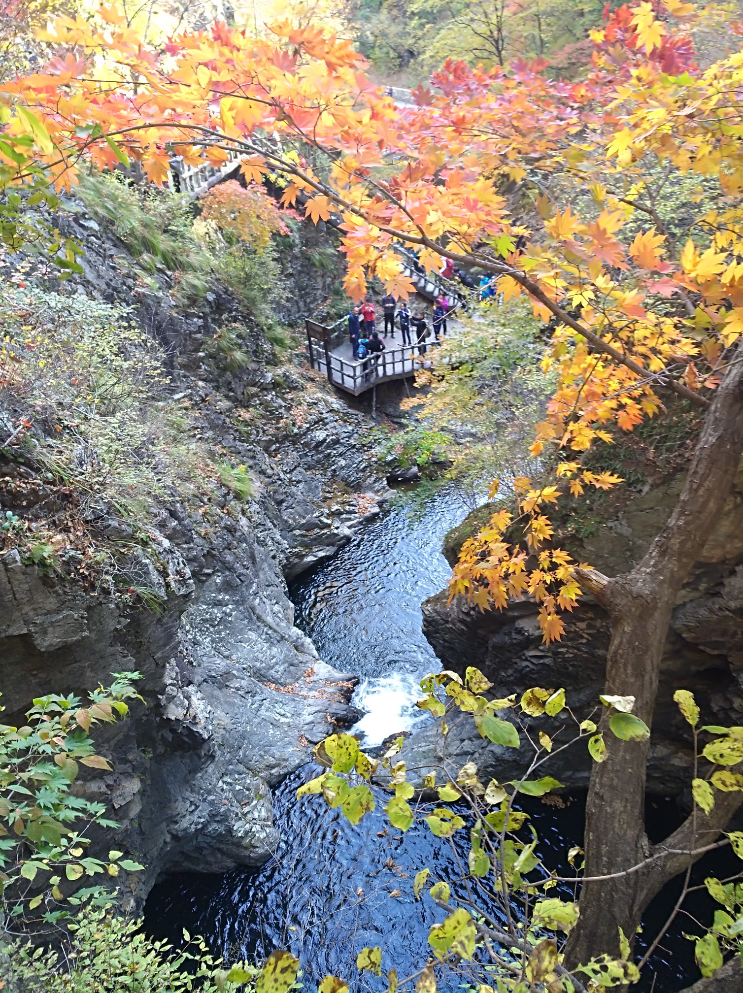 本溪山庄休闲游