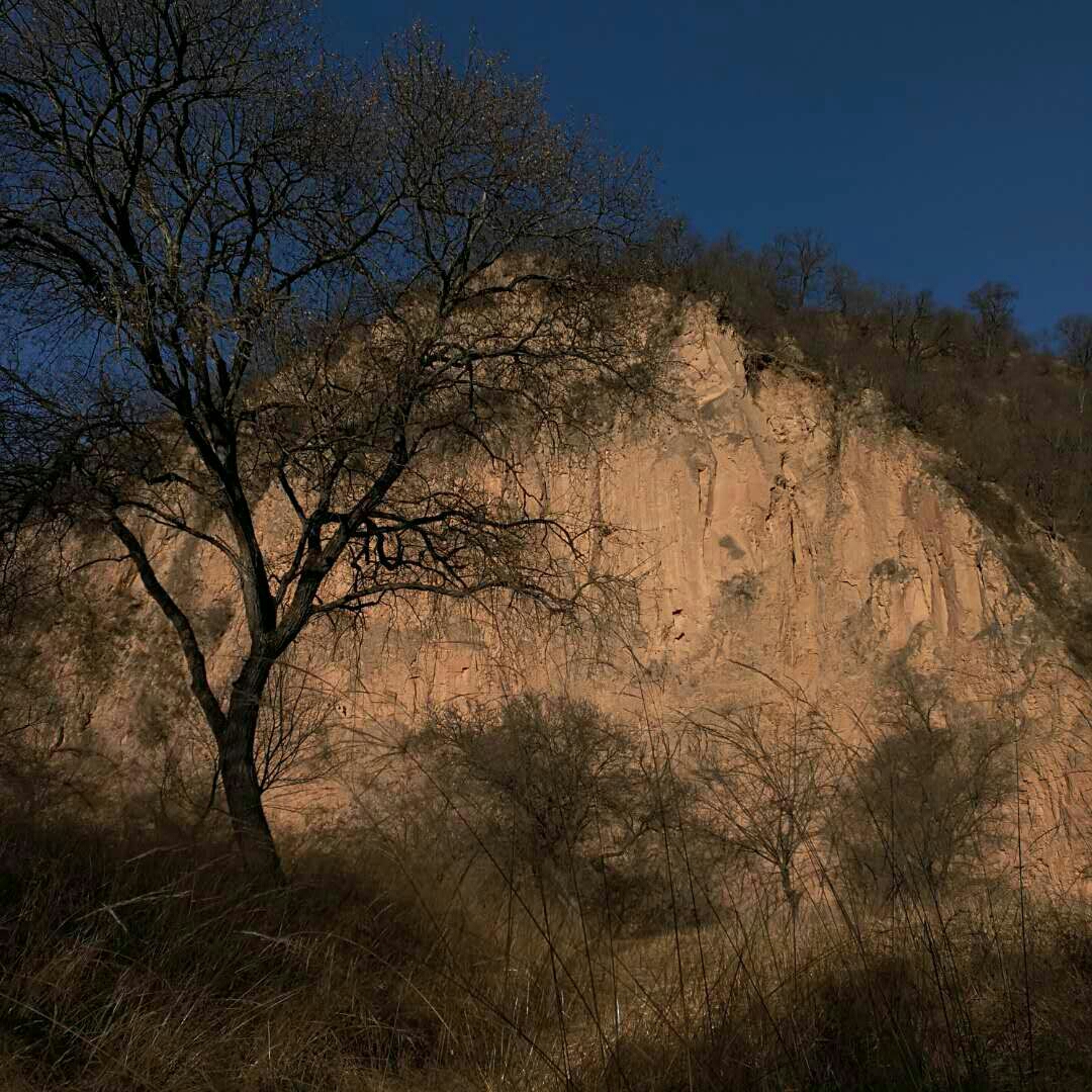 这条沟走到尽头,有一座小土山