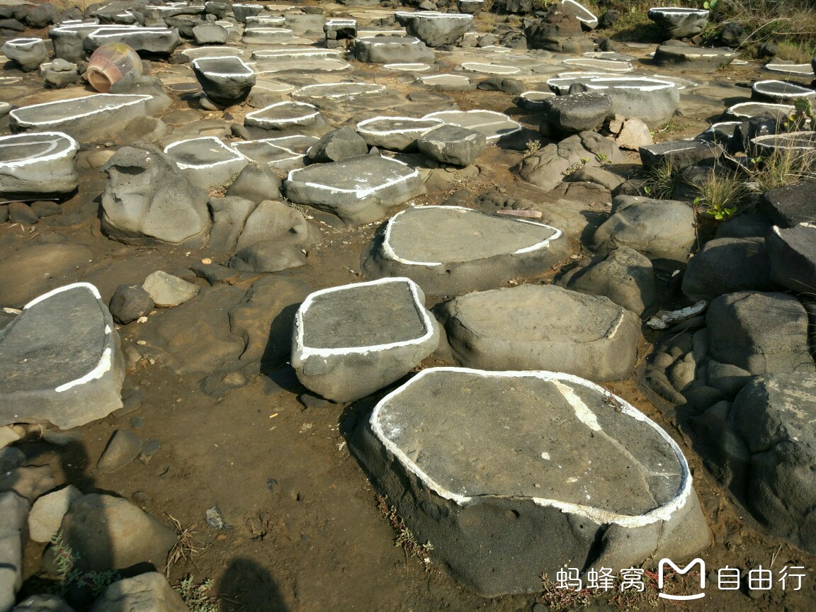 海口怎么搭渡轮回湛江_湛江西到海口火车硬卧