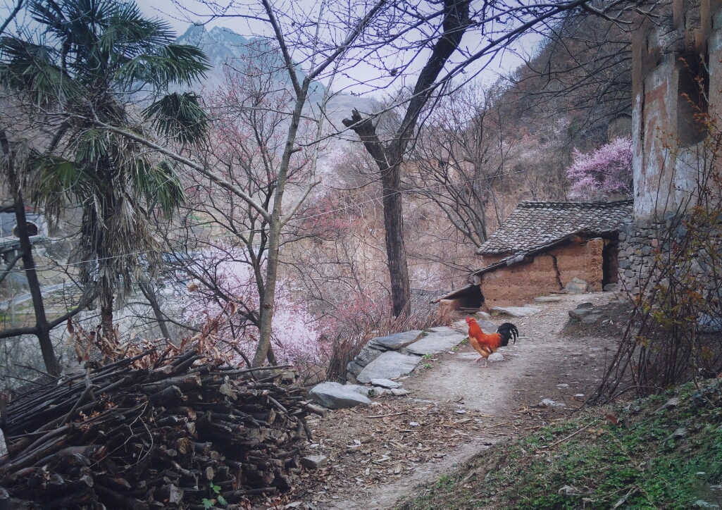 在那遥远的小山村……甘肃.陇南.琵琶.张坝