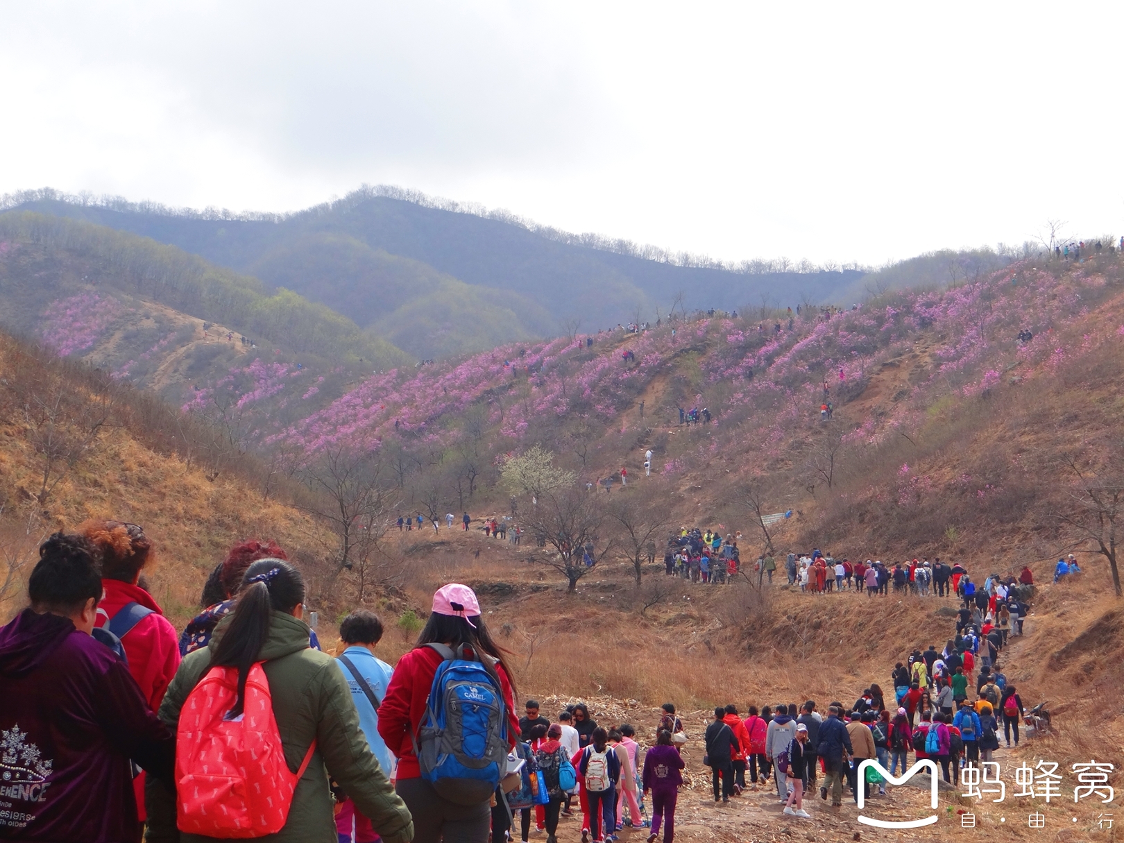 岭上开遍映山红,岫岩旅游攻略 - 马蜂窝