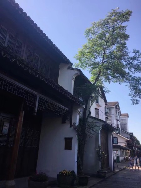 安昌古镇属于绍兴哪个区 wKgBZ1uCoDeAZMcoAALWxUSCzvM75.jpeg?imageView2%2F2%2Fw%2F600%2Fh%2F600%2Fq%2F90