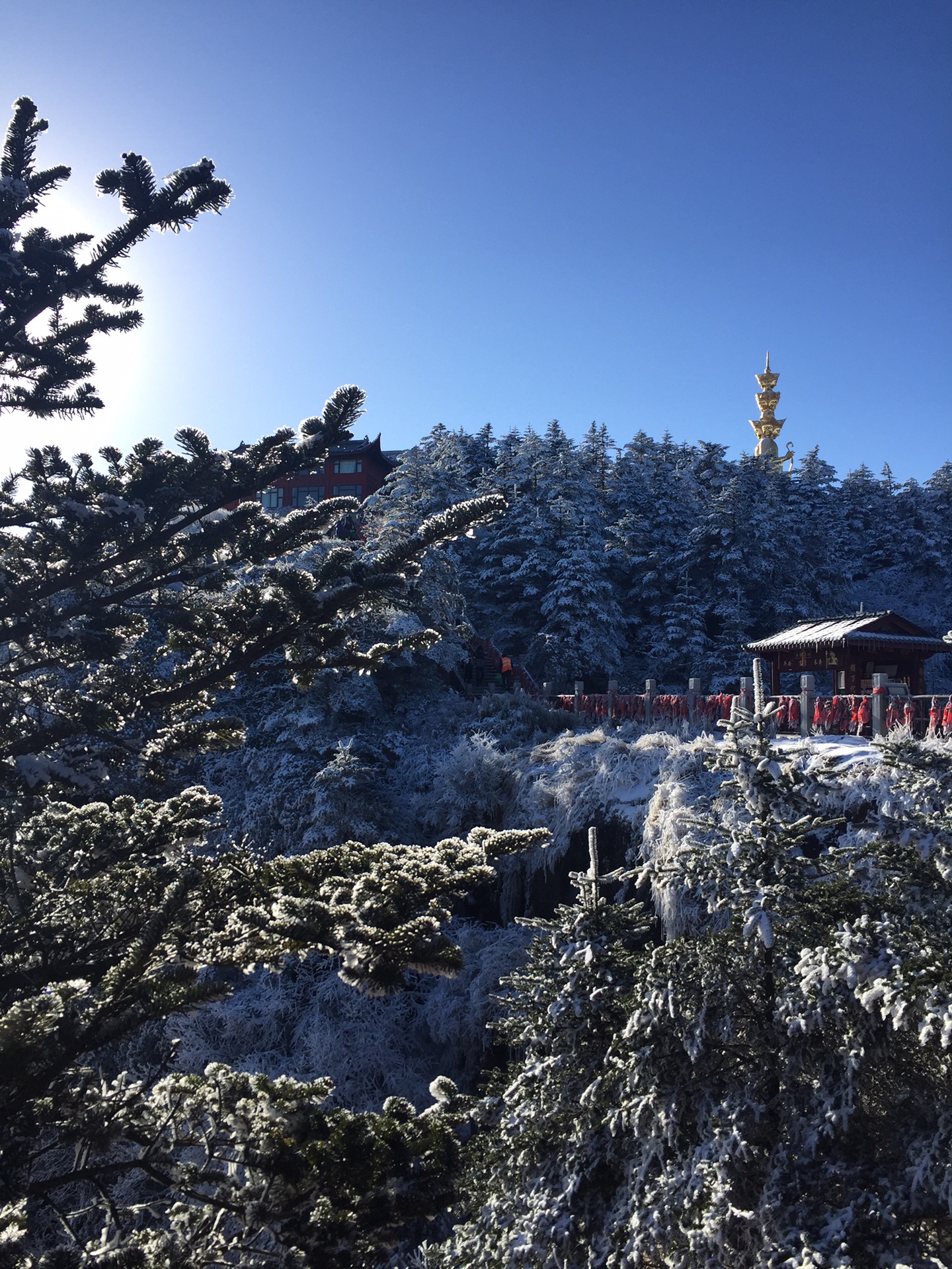 wKgBZ1nHrQyAa1o9AA-KLObfL5I26.jpeg?imageView2%2F2%2Fw%2F600%2Fh%2F600%2Fq%2F90