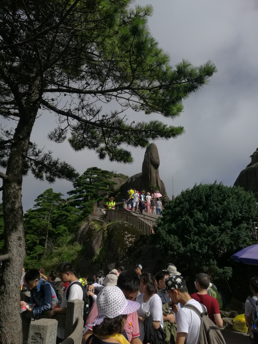 这次的黄山景区的游览我们准备2天,事先看别人的游记介绍说