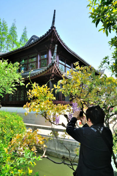 古藤园,古藤园简介