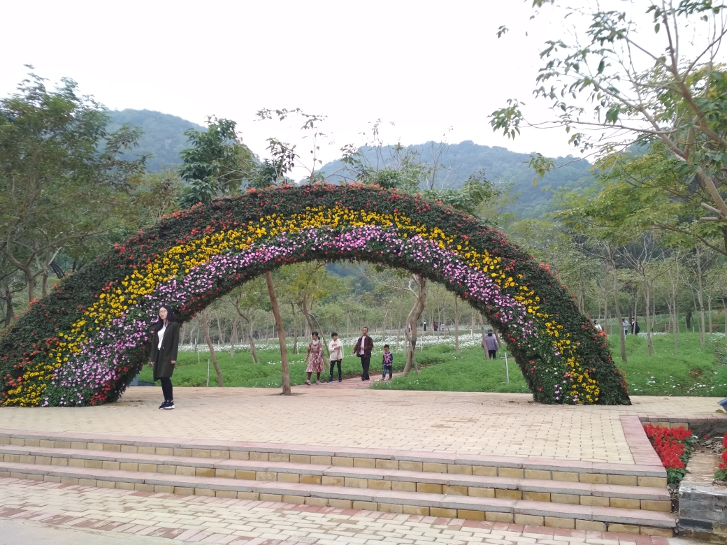 西樵山环山花海