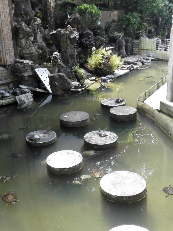 天水围游玩攻略,天水围在哪里