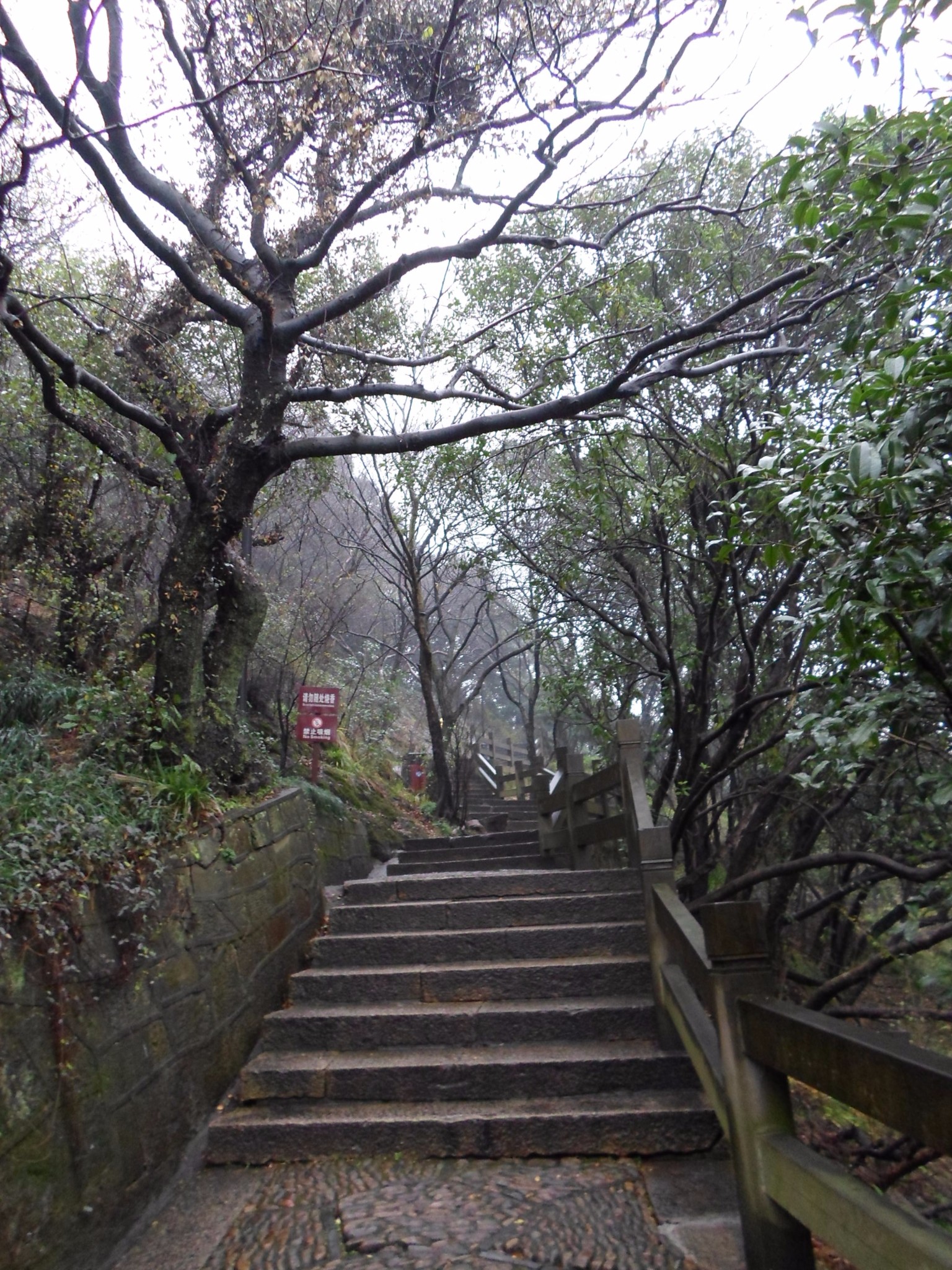 游宁波镇海招宝山风景区,感受镇海人民的抗敌史,了解中国强大的空军